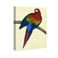 Wynwood Studio Animals Wall Art Canvas ispisuje ptice 'Maccaw' - crvena, plava
