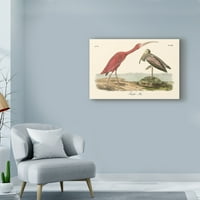Zaštitni znak likovna umjetnost 'Scarlet Ibis' platno umjetnost Johna Jamesa Audubona