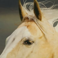 Pravi konji svjetlosni filtrirani digitalni panoramski par zavjesa za ispis 74 84 u multi