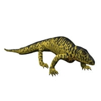 Mycterosaurus longiceps, Synapsida, rani Permian of Texas, SAD. Print plakata Nobumichi Tamura Stocktrek slike