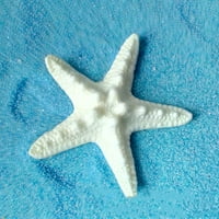 Župeta smola Zvjezdana riba Ornament Beach Ocean Sea Star Dekoracija zid zida