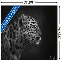 5 inča-zidni plakat s portretom leoparda, 14.725 22.375